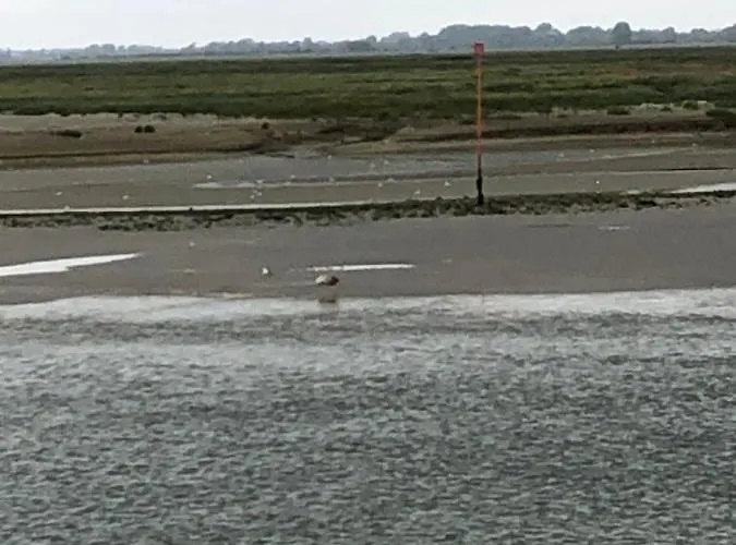 Baie A Deux Apartment *